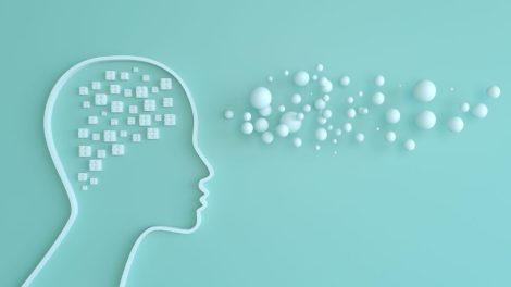 Nuno Canhão Bernardes Gonçalves Coelho