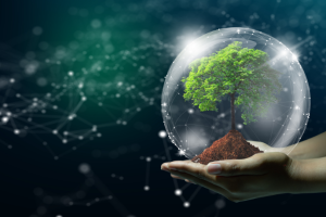 Antônio Fernando Ribeiro Pereira explica como a tecnologia verde vem promovendo soluções sustentáveis e eficientes para preservar o meio ambiente.