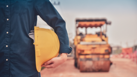 Renato de Castro Longo Furtado Vianna