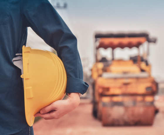 Renato de Castro Longo Furtado Vianna