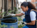 Agente de saúde verifica possíveis criadouros de mosquitos durante ação de controle vetorial em área urbana de São Luís.